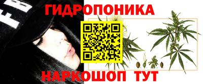 скорость Гусев
