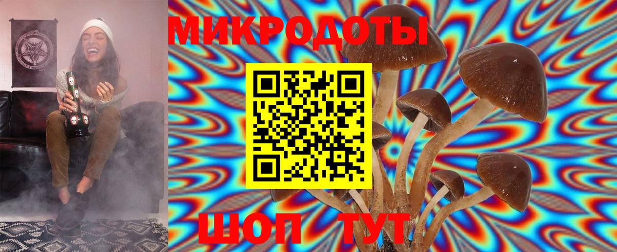 Галлюциногенные грибы Psilocybe  Галлюциногенные грибы ЛСД  Миллерово  Вход с VPN 