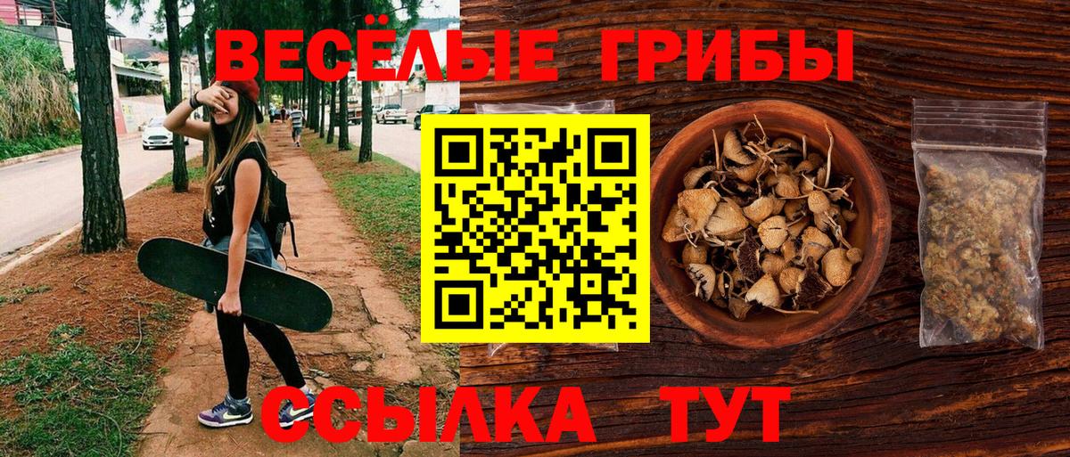 Псилоцибиновые грибы Psilocybine cubensis Миллерово